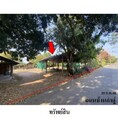 ขายบ้านเดี่ยว ถนน บ้านคำดู่ ตำบล บ้านแก้ง อำเภอ ดอนตาล จังหวัด มุกดาหาร