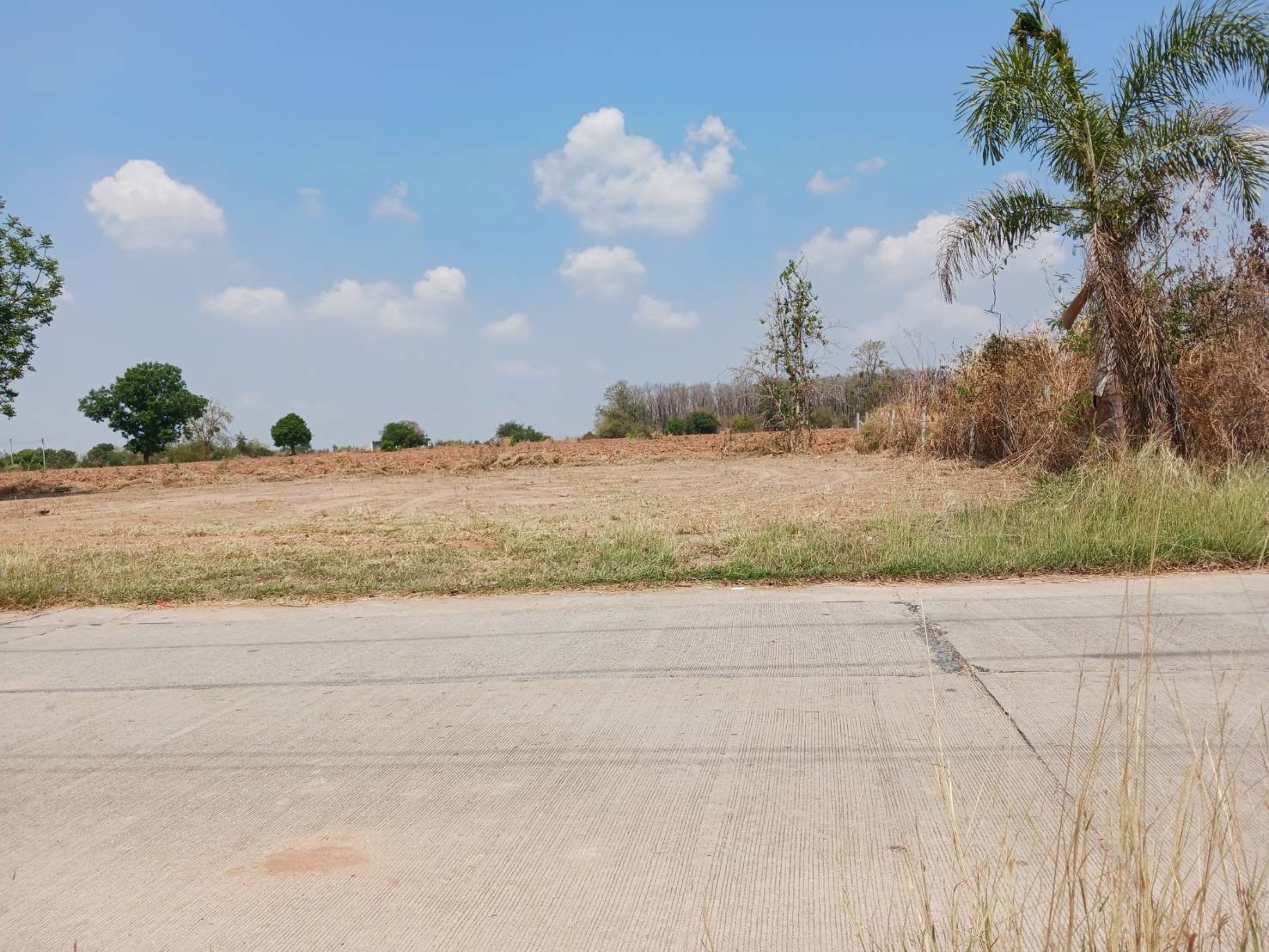 ขายด่วน ที่ดินทำเลทอง 300 ตร.ว. ใจกลางสีคิ้ว  รูปที่ 4
