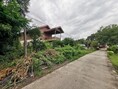 ขายบ้านเดี่ยว วิเศษชัยชาญ อ่างทอง ถนน เลียบคลองบางกะสา