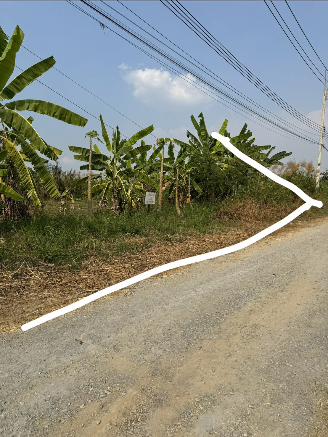ขายที่ดินสวยหมู่บ้านสมพงษ์ ศาลายา-คลองโยง รูปที่ 7