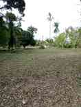 ขายที่ดิน ทำเลดี ใกล้ทะเล อำเภอเกาะช้าง จังหวัดตราด