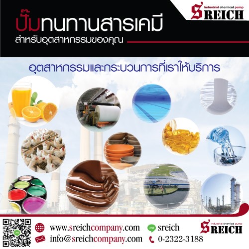 ปั๊มเคมี ปั๊มดูดสารเคมี ปั๊มสแตนเลส316แอล Chemical pump ขนถ่ายสารเคมี รูปที่ 3