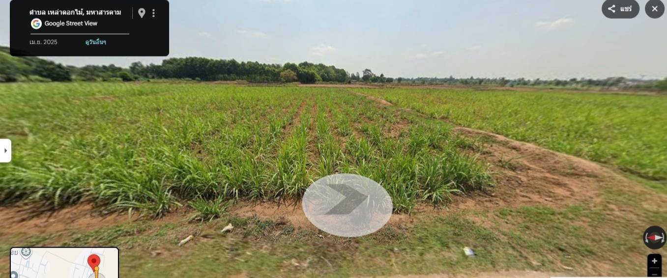 ขายที่ดินเปล่า ทำเลดี อำเภอ ชื่นชม มหาสารคาม รูปที่ 3
