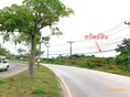 ขาย ที่ดิน สุราษฎร์ธานี  อำเภอ ไชยา จังหวัด สุราษฎร์ธานี 