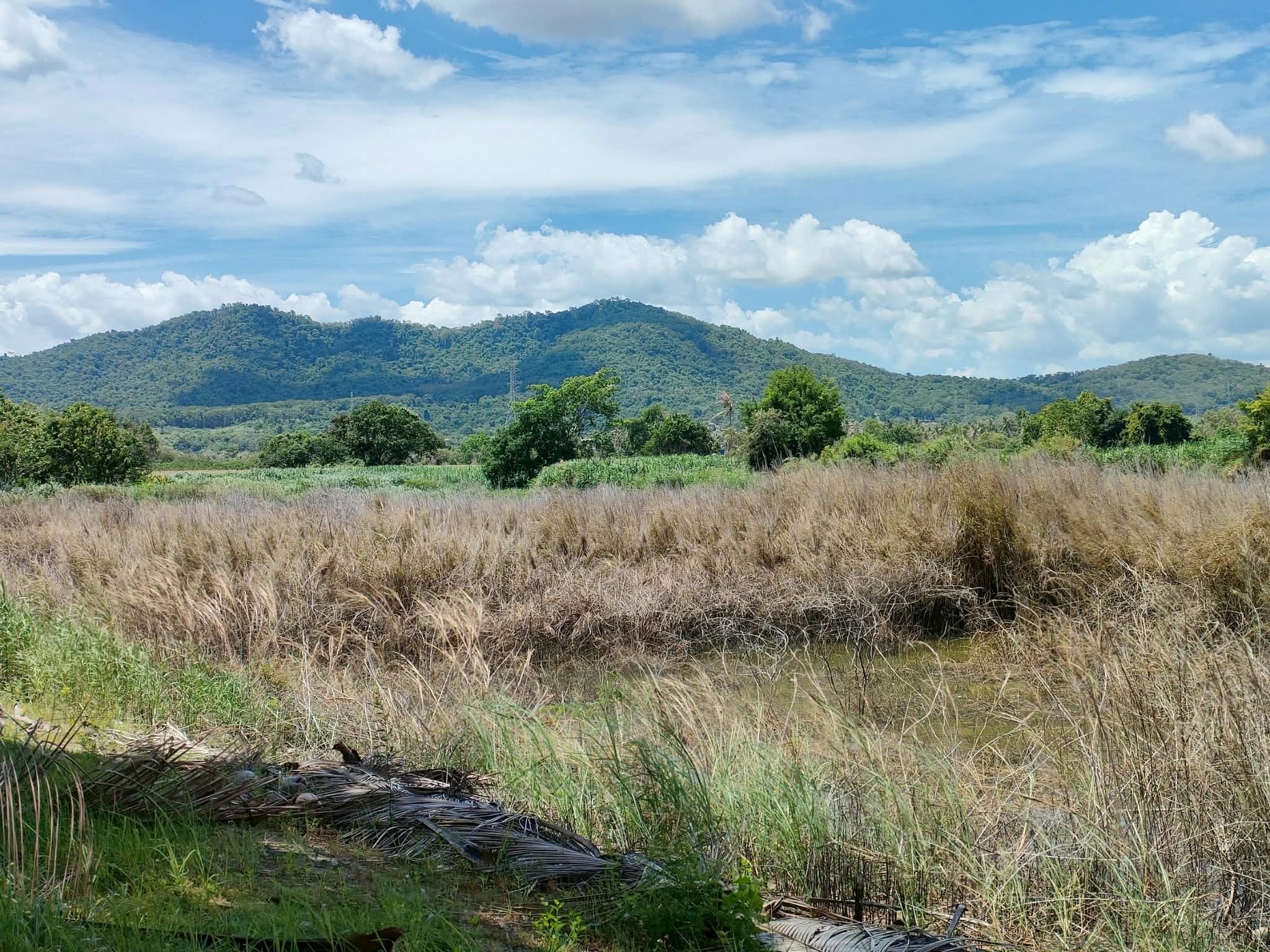 ขายที่ดินจัดสรรโครงการบ้านเนินน้ำ  ขนาด 81 ตร.ว หน้ากว้าง 15 เมตร ลึก 22 เมตร วิวอ่างเก็บน้ำ วิวภูเขา มีความเป็นส่วนตัวสูง ใกล้ชิดธรรมชาติ พื้นที่ตะเคียนเตี้ย บางละมุง รูปที่ 6
