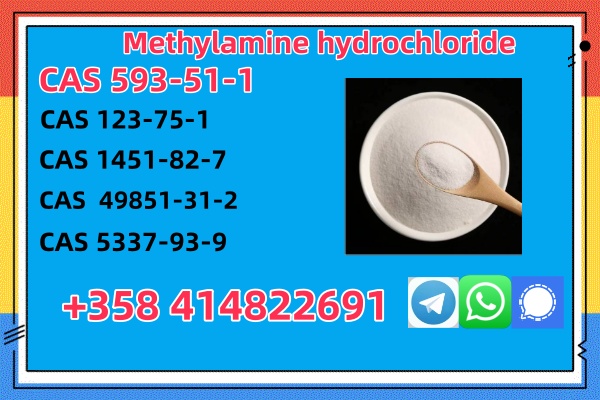 Buy High Quality CAS 593-51-1 Methylamine Hydrochloride at Best Price     รูปที่ 4