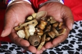SPELL CASTER [+27’764410726]] ╬ TRADITIONAL HEALER/ SPIRITUAL HEALER / GAY & LESBIAN spell/ Death & Revenge Spells /SANGOMA  in WALIVIS BAY, HUAMBO, NDOLA, NAMPULA, ARUSHA, MAUN, OSHAKATI, LOBITO, CHITUNGWIZA, WAU, BUJUMBURA, KIKUYU, MBEYA, MOGODITSHANE, SWAKOPMUND,BENGUELA, NAKURU, KUACJOK CHIMOIO, DIRE DAWA, MOROGORO, South africa, SEROWE, KATIMA, LUBANGO, BERBERA, KISMAYO, MARKA, KANYE, MULILO, MALANJE, TANGA, ELDORET, KISUMU, SELIBE, GROOTFONTEIN, MOCAMEDES, MEK'ELE, PHIKWE, REHOBOTH, SOIO, NAZRET, MOCHUNDI, KATUTURA, CABINDA, South Africa,