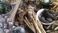 World Love SPELL CASTER {+27764410726 }}  ASTROLOGY/ SPIRITUAL HEALER  In UK, GREAT LONDON, DERBYSHIRE, ESSEX, CAMBRIDGESHIRE, Australia Malta, NY, GLOUCESTERSHIRE MEXICO, HAMPSHIRE,CHESHIRE, NEW ZEALAND, NEITHERLAND, Nicaragua, NORTHUMBERLAND, OXFORDSHIRE, RUTLAND, MERSEYSIDE, SURREY, WARWICKSHIRE AND GWYNEDD.