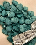 where can i buy blue punisher pill print online discreetly