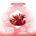 แอสตาแซนธิน, สารเสริมอาหาร, สารต้านอนุมูลอิสระ, Astaxanthin, Food Supplement, Anti-oxidant