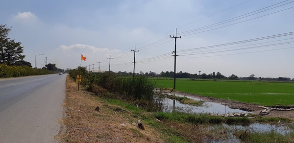 ขายที่ดิน อยุธยา บางปะอิน 68-2-9 ไร่ ด้านหน้าติดถนนใหญ่ 347 ราคาพิเศษ โทร.084-1416555 รูปที่ 6