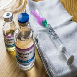 Nembutal (pentobarbital) for sale in South Africa+27 81 850 2816 รูปที่ 3