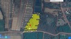 รูปย่อ ขายที่ดินเปล่าพร้อมสิ่งปลูกสร้าง ทำเลบ้านจำปู ต.เจริญเมือง อ.พาน จ.เชียงราย โทร 081-0321111 รูปที่4