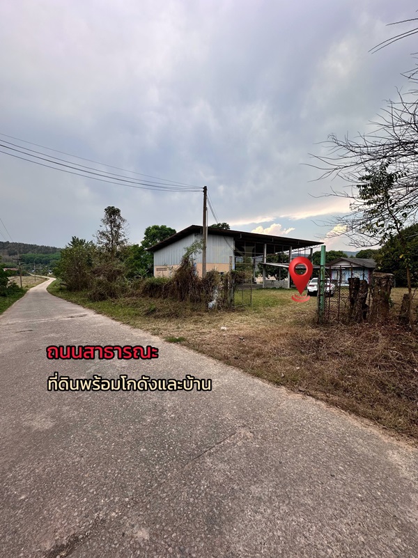 ขายที่ดินเปล่าพร้อมสิ่งปลูกสร้าง ทำเลบ้านจำปู ต.เจริญเมือง อ.พาน จ.เชียงราย โทร 081-0321111 รูปที่ 6