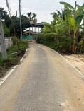 ขายที่ดินเปล่า บ้านป่าเหว ตำบลอุโมงค์ อำเภอเมือง จังหวัดลำพูน