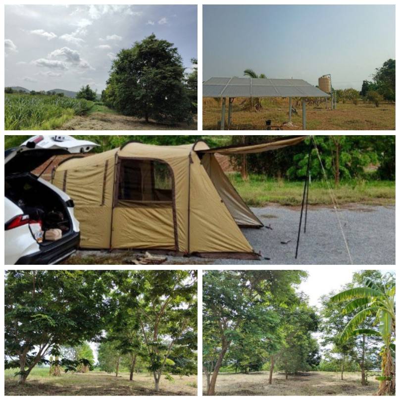 ขายบ้านพร้อมที่ดิน อำเภอเลาขวัญ กาญจนบุรี บรรยากาศดี ติดถนนสาธารณะ 2 ด้าน  น้ำไฟพร้อม รูปที่ 5