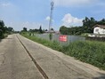 ขายที่ดินเปล่าถมแล้ว เพชรเกษม 66 ห่างจาก MRT บางแค 700 เมตร