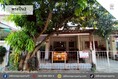 ขายทาวน์เฮ้าส์ หมู่บ้านพระปิ่น2 ติดถนนบรมราชชนนี (DD002366)