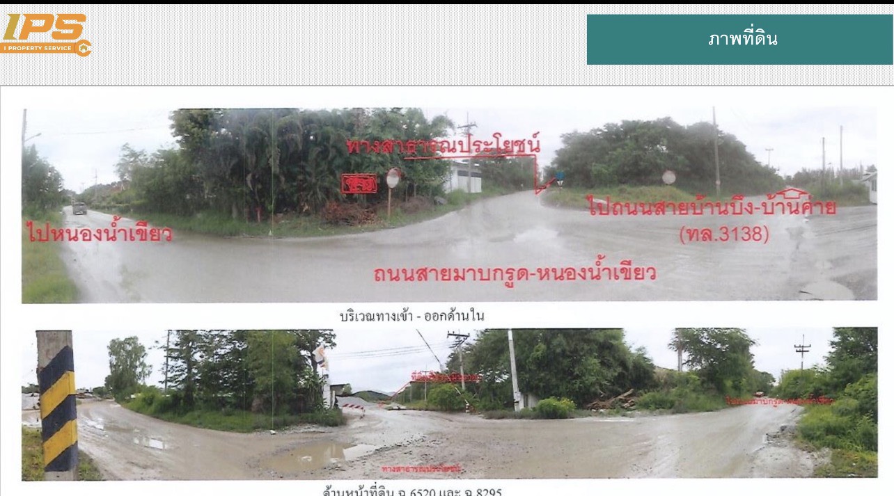 ขายที่ดินเปล่า หนองน้ำเขียว อ.บ้านบึง จ.ชลบุรี  รูปที่ 6