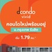 รูปย่อ คอนโดใหม่ ใกล้ ม.กรุงเทพ Dcondo Vivid Rangsit ทำเลดีมาก พร้อมรถรับ-ส่งถึงหน้ามหาลัย โทร 065-4496399 รูปที่1