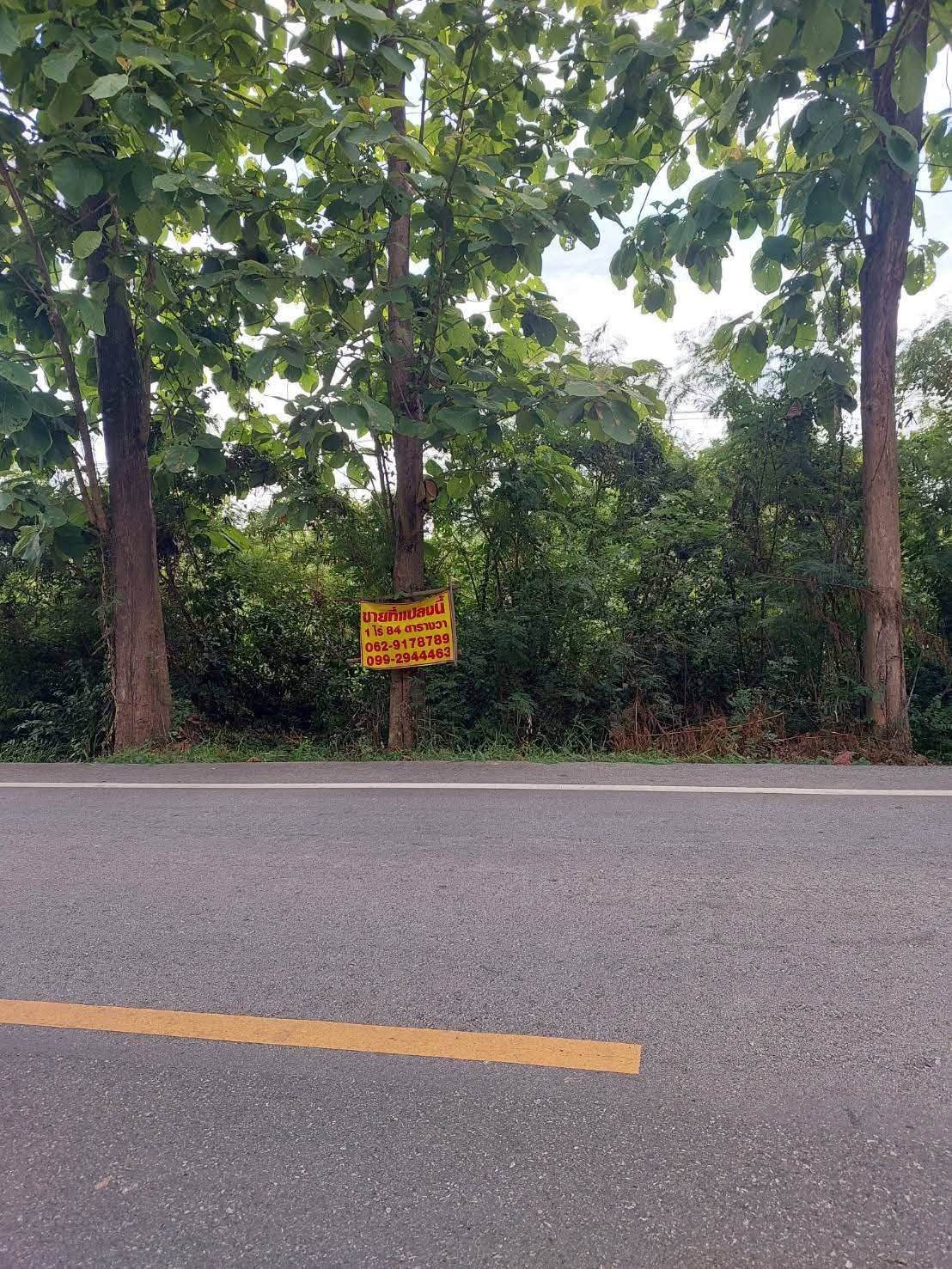 ขายที่ดินเปล่า ทำเลดี กำแพงดิน​ อ.สามง่าม​ จ.พิจิตร รูปที่ 6