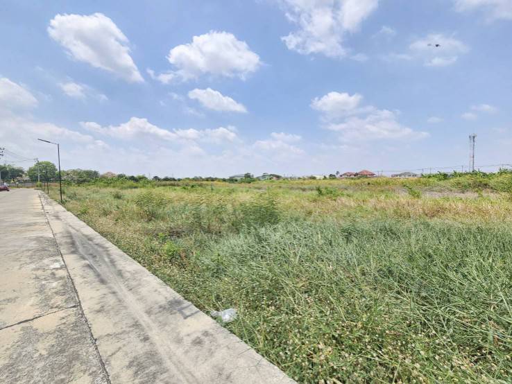 ขายที่ดิน ทำเลทอง ติดถนนคอนกรีต ใกล้สนามบินสุรรณภูมิ รูปที่ 7