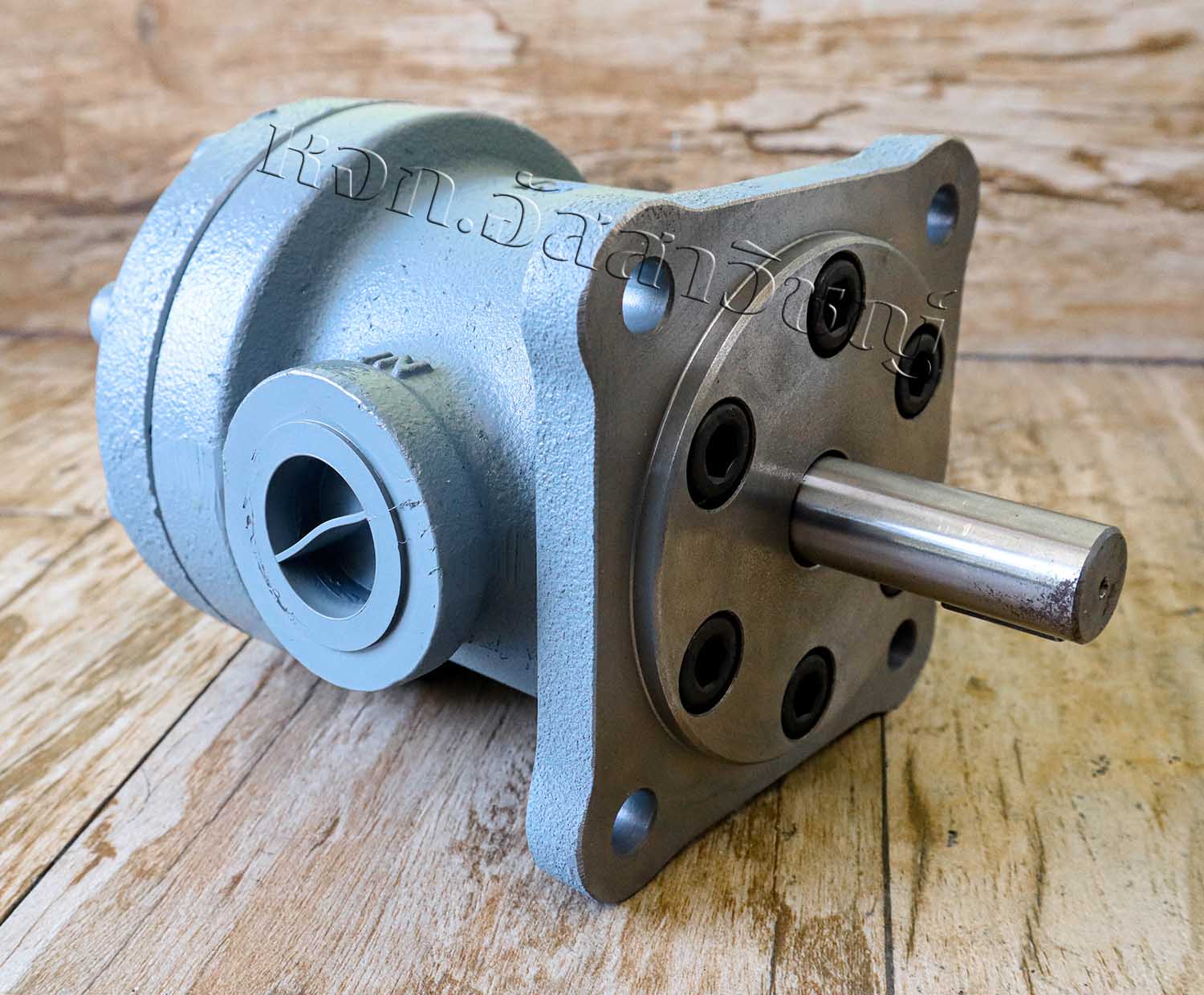 ปั๊มใบพัด ไฮดรอลิค (VANE PUMP) TAICIN DVSF Series รูปที่ 3