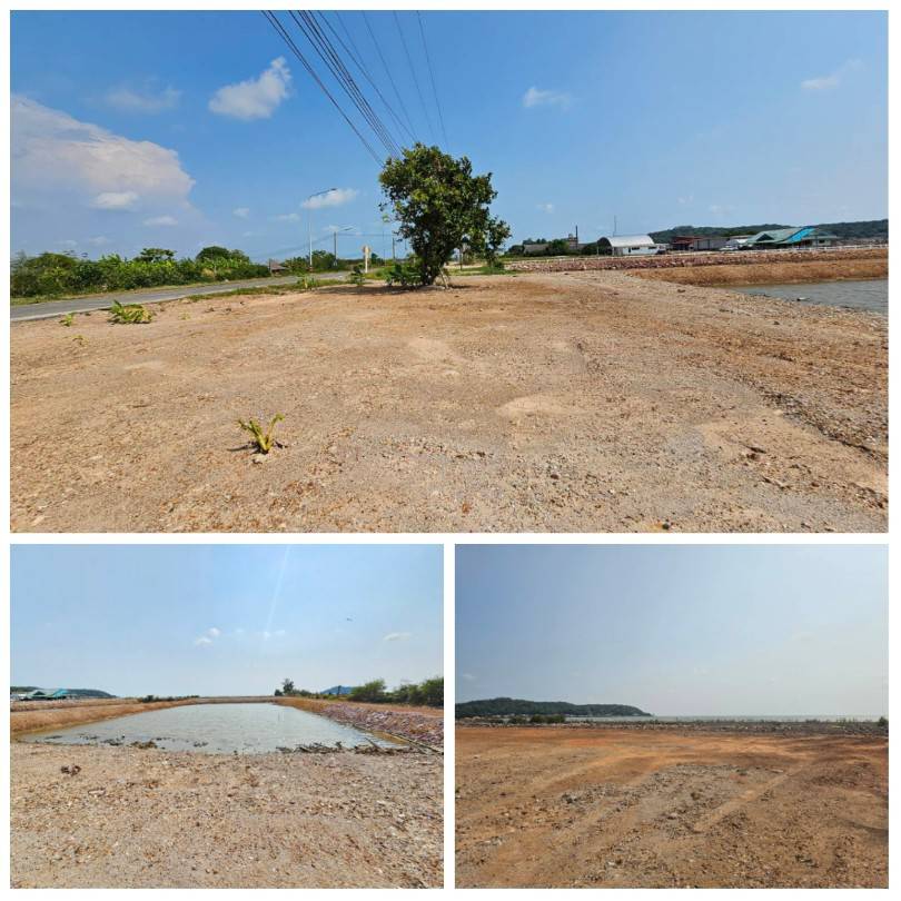 ขายที่่ดินติดทะเล ใกล้แหล่งท่องเที่ยว เกาะเปริด อำเภอแหลมสิงห์  จันทบุรี รูปที่ 5