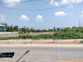 ที่ดินติดถนน 2-3-40 ไร่  2 แปลงติดกัน   ท่าทราย สวนส้ม บ้านเกาะ  เดินทางเข้า-ออก สะดวก  ใกล้ถนนพระราม2