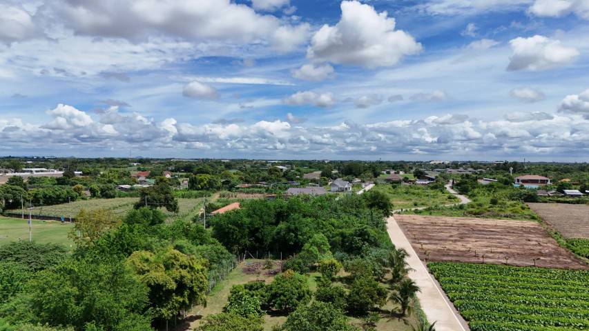 ขายที่ดินติดถนน 2 ด้าน หลังวัดวังขนาย  อำท่าม่วง กาญจนบุรี ห่างถนนใหญ่เพียง 400 เมตร รูปที่ 4