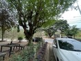 ขายบ้านสวนทำเลดีค้าขายได้ร่มรื่นเหมาะทำคาเฟ่ ที่พักตากอากาศในเขตชุมชน