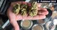 WhatsApp +1(581) 942-4296 Buy Weed ,XANAX ,Cocaine, effex or Heroin and Shrooms in Qatar Dubai ajman sharjah Oman Kuwait Bahrain Saudi Arabia 