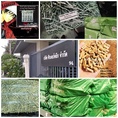 *อัลฟัลฟ่า ทิโมธี หญ้าอาหารสัตว์คุณภาพ  