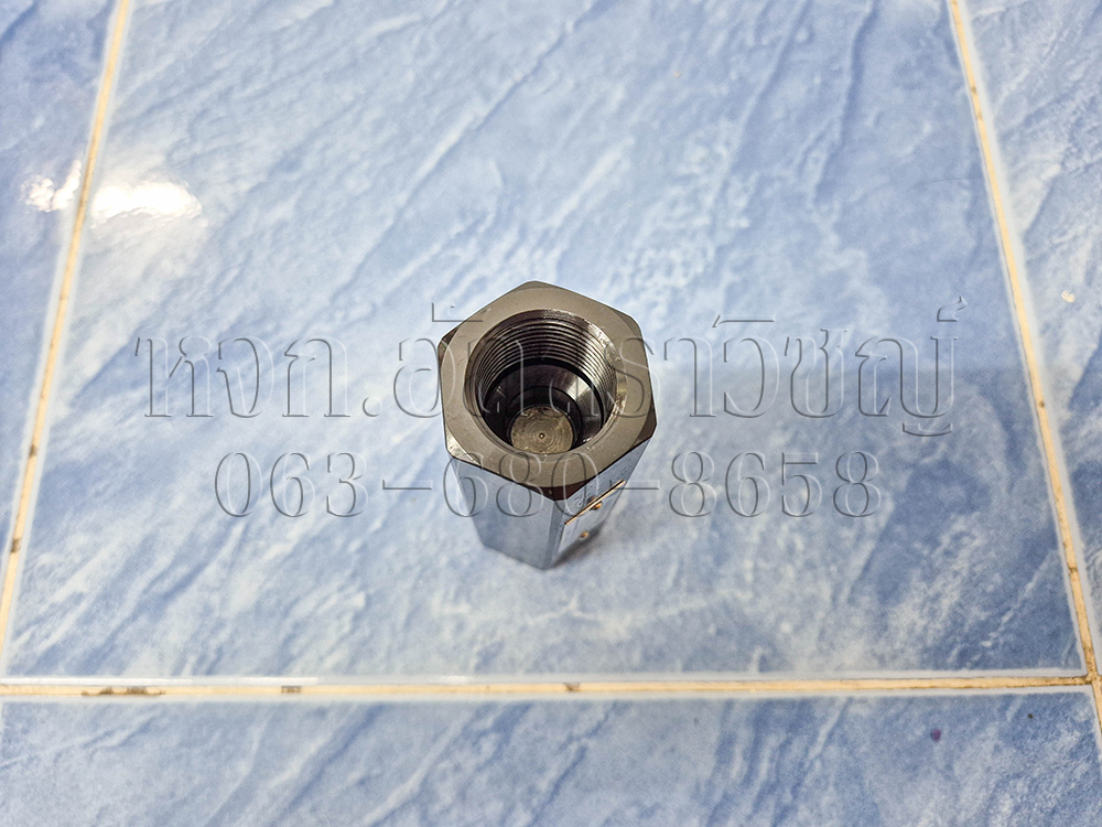 เช็ควาล์ว HDIN-T06-05 รูปที่ 3