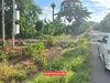 รูปย่อ ขายที่ดินโฉนด 12.5 ไร่ ต.หินซ้อน อ.แก่งคอย จ.สระบุรี บรรยากาศดี โทร 094-5276439 รูปที่3