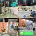 รูปย่อ ***  ขนย้ายบูธ รับติดตั้งบูธ รับรื้อถอนบูธ ปูพรม เดินไฟภายในบูธ รถรับจ้างขนของ คืองานของเรา  089-076-5588  , 086-335-1256 รูปที่5