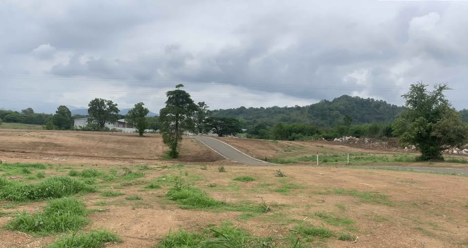 แบ่งขายถูกมาก!! ที่ดิน 1-20 ไร่ วิวภูเขา 360° อ.มวกเหล็ก สระบุรี ใกล้ด่าน M6 ใกล้ถนนมิตรภาพ  3 นาที รูปที่ 6