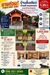 รูปย่อ ขายบ้านชั้นเดียว ราคาต่ำกว่าตลาดสุดๆ รูปที่1