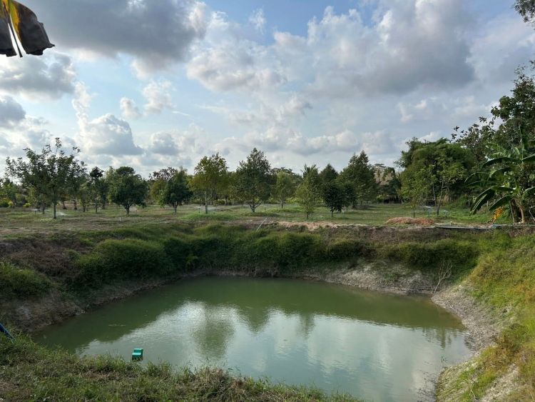 ขายสวนผสมพร้อมบ้าน ทำเลใกล้เขายายดา ตะพง จ.ระยอง  รูปที่ 6