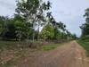 รูปย่อ ขายสวนผลไม้ สวนผสม อำเภอท่าใหม่ จันทบุรี โฉนดพร้อมโอน รูปที่1