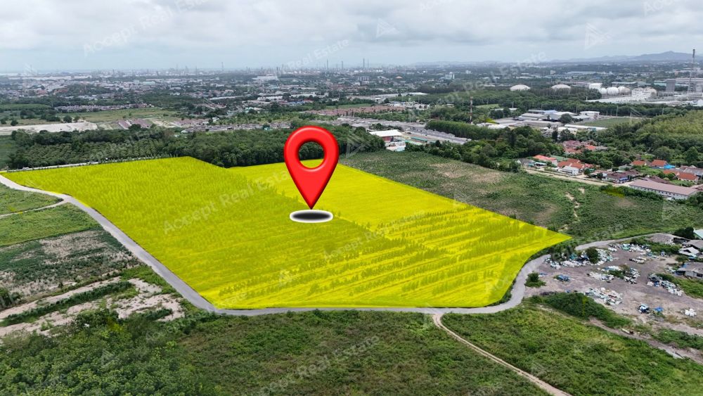 ขายที่ดินทำเลเศรษฐกิจสำคัญ มาบตาพุด ระยอง พื้นที่ 48-2-85.5 ไร่ รูปที่ 4