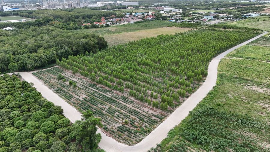 ขายที่ดินทำเลเศรษฐกิจสำคัญ มาบตาพุด ระยอง พื้นที่ 48-2-85.5 ไร่ รูปที่ 5