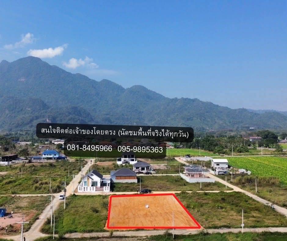 ขายถูกมาก!! ที่ดินถมแล้ว 320 ตร.ว. วิวภูเขาดอยนางนอน ทำเลทอง อ.แม่สาย จ.เชียงราย ใกล้โลตัส แม็คโครฯ รูปที่ 7