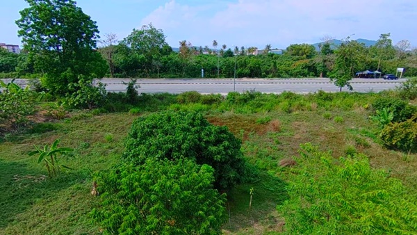 ที่ดินEEC ทำเลทองในระยอง แปลงสวยติดถนนใหญ่ ที่ดินศักยภาพสูง ใกล้สนามบินอู่ตะเภา เพียง 15 นาที!! โทร 064-5469789 รูปที่ 6
