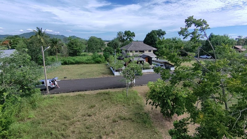 ขายที่ดิน จัดสรร 120 ตรว. โครงการบ้านเนินน้ำ แวดล้อมด้วยธรรมชาติ เหมาะสร้างบ้านพัก ตะเคียนเตี้ย บางละมุง รูปที่ 4
