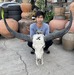 รูปย่อ เขาควาย เขาควายป่า เขาควายไทย ไซต์ใหญ่ เขาควายแขวนผนัง เขาควายเก่า รูปที่1