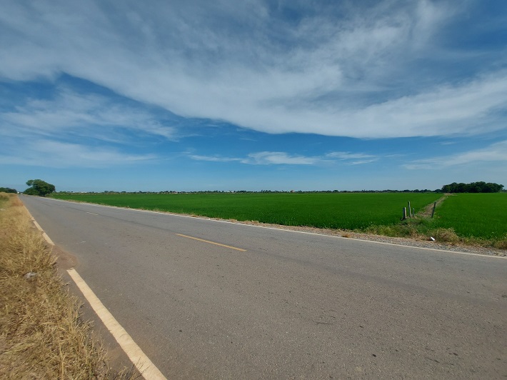 ขายที่ดิน แปลงสวย 100 ไร่ หน้ากว้างติดถนน 120 เมตร ลึก 1,330 เมตร ด้านหลังติดคลองอุดมชนขจร อยู่หลังตลาดสุวินทวงค์ 3 กม.ตำบลคลองหลวงแพ่ง อำเภอเมืองฉะเชิงเทรา ฉะเชิงเทรา รูปที่ 7