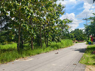  ขายที่ดิน บ้านน้ำซับ ต.นาวังหิน พนัสนิคม ใกล้ตลาดน้ำ 3 วัง  ยกแปลง  5-3-2 ไร่ เพียง  3.9 ล้านบาท ฟรีโอน  รูปที่ 4