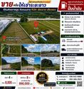 ขาย-ให้เช่าระยะยาว ที่ดินศักยภาพสูง ทำเลติดถนนสาย R3A เชียงราย–เชียงของ