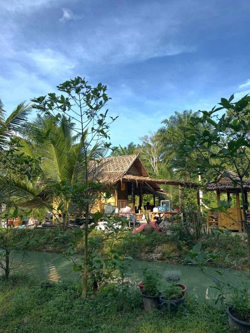 ลดด่วน 18 ล้าน!! ที่ดิน 12 ไร่ ทำเลทอง ติดถนนเพชรเกษม อ.สวี จ.ชุมพร ใกล้ตัวอำเภอ ชายหาด ตัวอ.เมืองชุมพร รูปที่ 5
